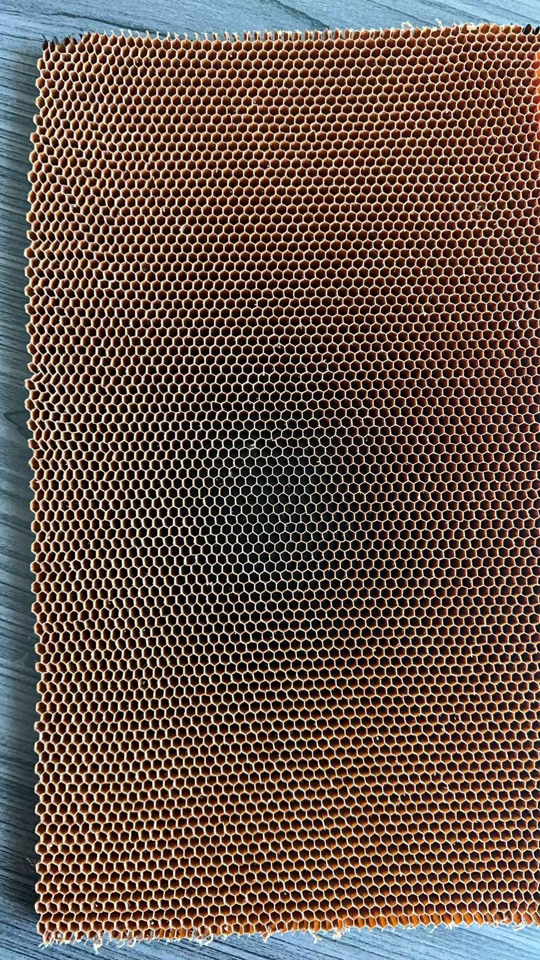 Composite panel section sample